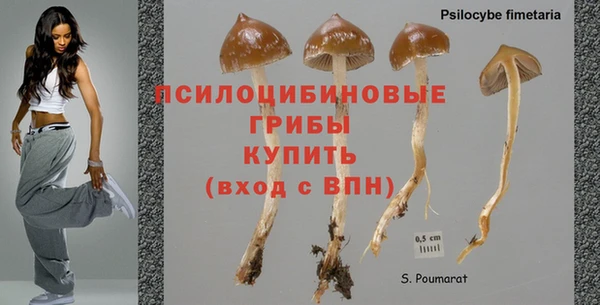ешки Абинск