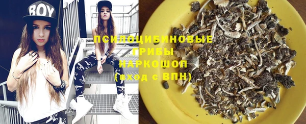 крисы Алексеевка